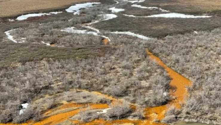 На Аляске реки становятся ржавыми - «В мире»