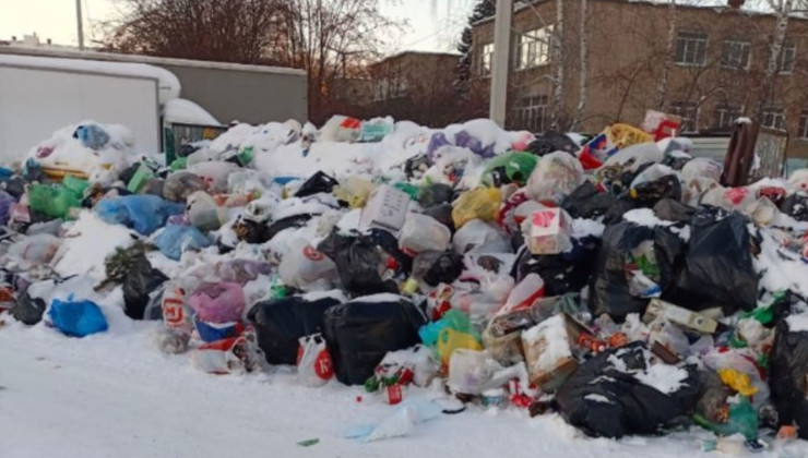В Челябинске несколько дней не вывозится мусор - «Экология России»