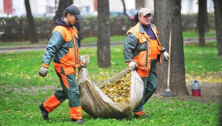 Регоператоров обучили обращению с ветками и листьями - «Экология России»