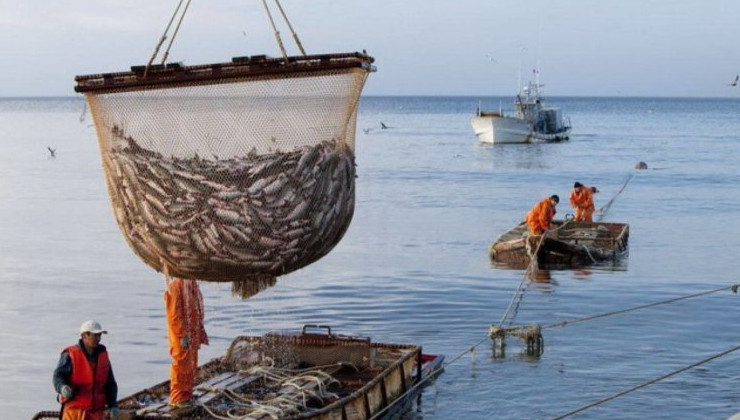 Средства от продажи квот на вылов направят на развитие рыболовецких поселений - «Зеленая Экономика»