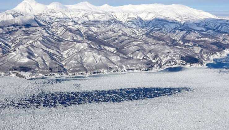 В Японии утверждают, что оказавшиеся в ледовой ловушке косатки уплыли - «В мире»