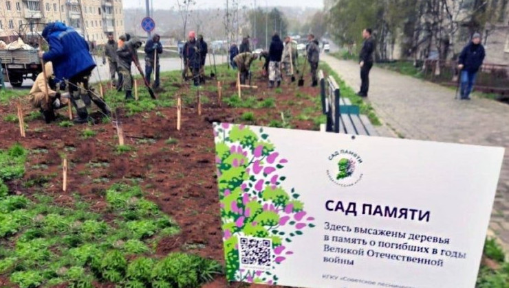 Деревья «Сада памяти» поглотят 3,2 миллиона тонн СО2 за 40 лет - «Экология России»