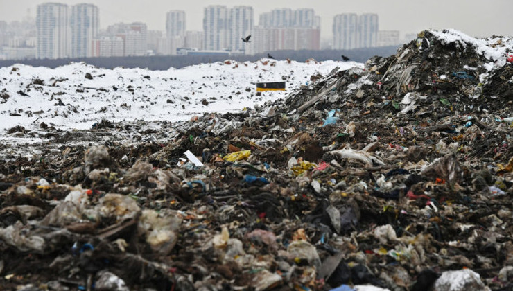 Почти 180 мусорных полигонов у аэродромов проверят на скопление птиц - «Экология России»