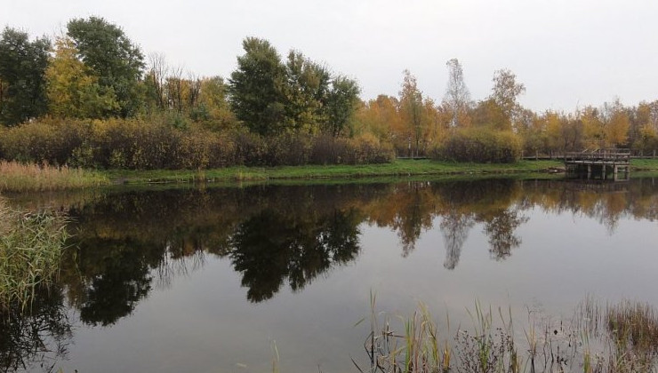 Столичные власти взялись за “Красноярский” пруд - «Экология России»