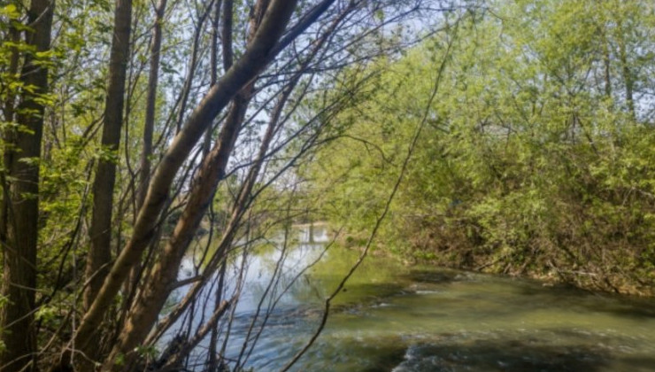 В Новосибирске ликвидируют незаконные стоки, загрязняющие малые реки - «Экология России»