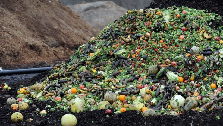 В России прошла «Неделя поддержки компостирования» - «Зеленая Экономика»