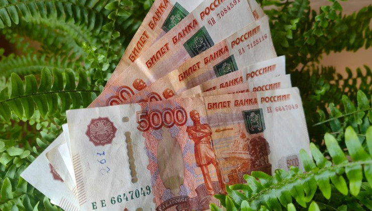 “Фонд ‘Компас” предложил направлять экоплатежи в бюджеты регионов - «Экология России»
