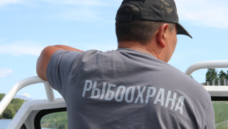 1,5 тысяч браконьеров привлечены к ответственности в Приморье в первом полугодии 2024 года - «Экология России»