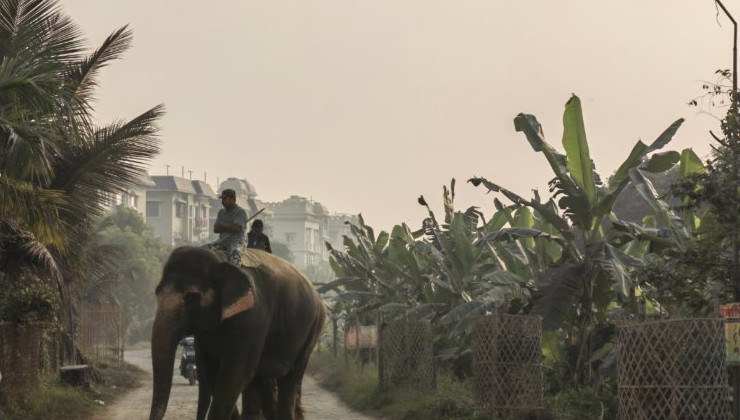 Причина более 7% смертей в мегаполисах Индии – загрязнение воздуха - «В мире»