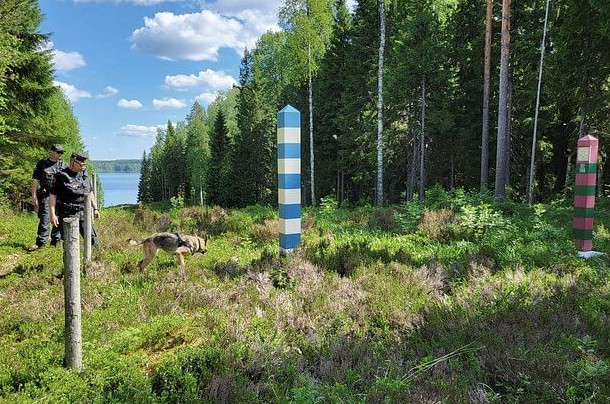 Забор на границе России и Финляндии нанесет вред экологии - «Экология России»
