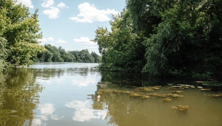 В Курской области от обмеления спасут три водных объекта - «Экология России»
