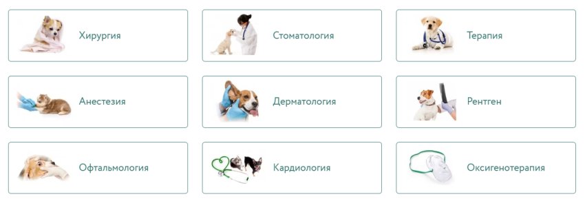 Ветеринарная клиника