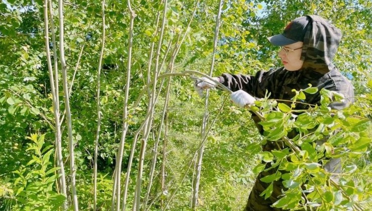 Пинежский заповедник получит современную научную базу - «Экология России»