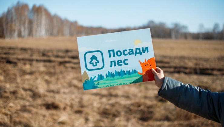 Проект «Посади лес» отмечает 10 лет и 4,5 миллиона новых деревьев - «Экология России»