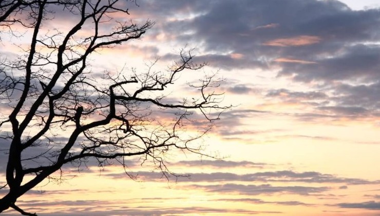 ЮНЕП: прогресс в контроле за выбросами метана остаётся недостаточным - «Экология России»