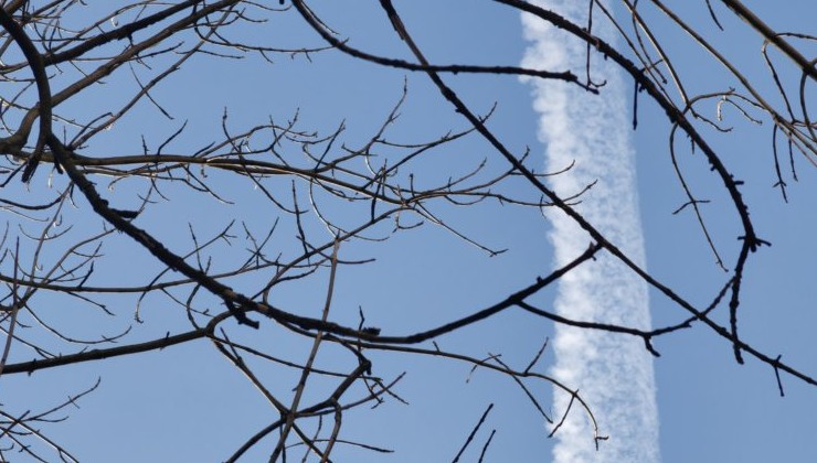 ЮНЕП: новые климатические планы стран почти не снизили прогноз глобального потепления - «В мире»