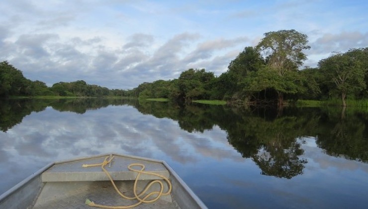 Колумбия запретила новые нефтяные и крупные горнодобывающие проекты в Амазонии - «В мире»