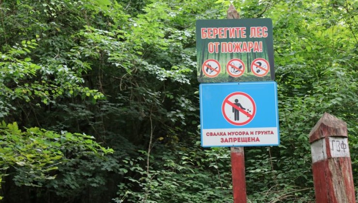 В 2026 году увеличится финансирование мероприятий по охране лесов - «Экология России»