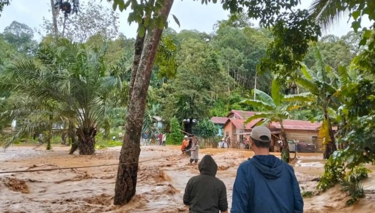 Наводнения в Южной и Юго-Восточной Азии затронули миллионы людей и нанесли ущерб более чем на $4 млрд - «В мире»