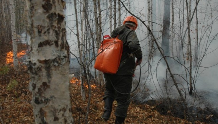 Правительство направит около 3 млрд рублей на компенсацию расходов регионов по борьбе с лесными пожарами - «Экология России»