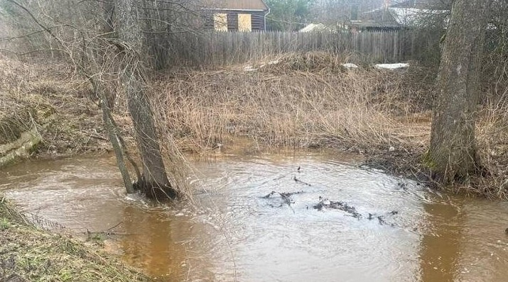 В Подмосковье устранили более 4 тыс. незаконных водовыпусков - «Экология России»