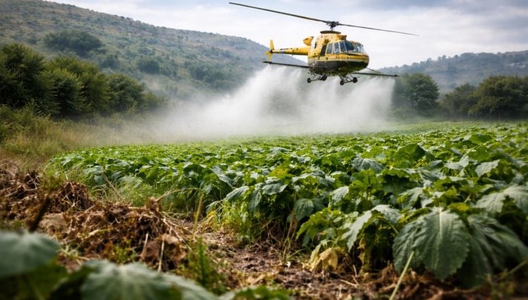 Ливан обвиняет Израиль в распылении гербицидов над сельхозугодьями на юге страны - «В мире»