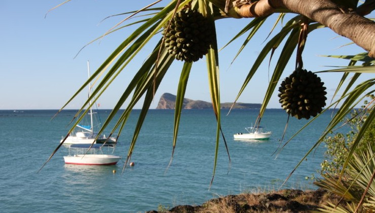 На пляжах Южной Африки обнаружены выбросы неизвестного нефтепродукта - «В мире»