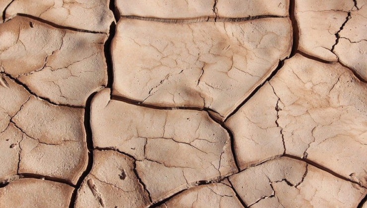 ООН: 6,5 млн человек в Сомали находятся под угрозой острого голода из-за засухи - «В мире»