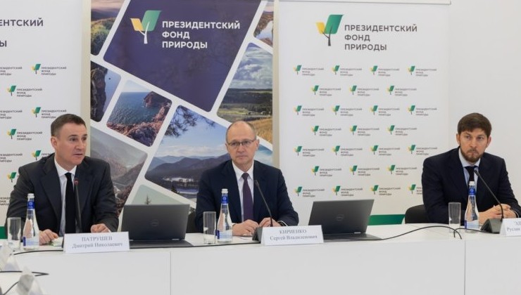 Президентский фонд природы определил 157 проектов-победителей - «Экология России»