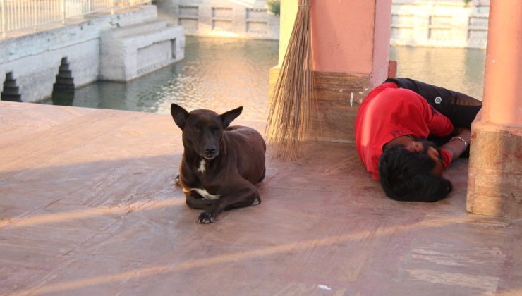 Аномальная жара в Индии: температура в марте достигла 40 °C - «В мире»