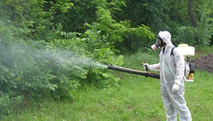 Более 490 тыс. га леса обработают от вредителей в 2026 году - «Экология России»