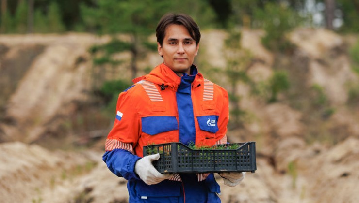 «Газпром нефть» высадила более 2,5 млн деревьев в Сибири - «Зеленая Экономика»