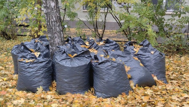 Мусорная арифметика: почему снижение доли отходов не решает глобальный кризис - «Экология России»