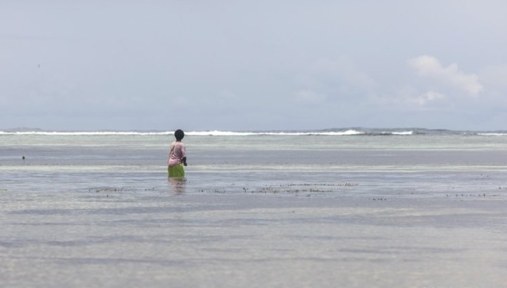 Неизвестное загрязнение: в Папуа — Новой Гвинее гибнет морская жизнь и болеют люди - «В мире»
