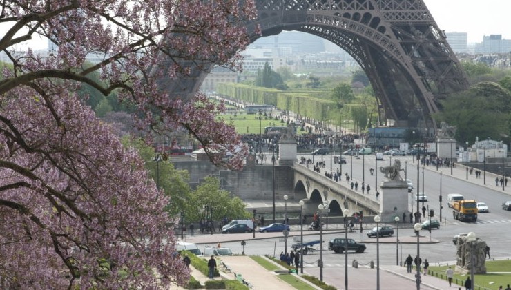 Парижский суд рассмотрит иск к TotalEnergies по климатическим обязательствам - «В мире»