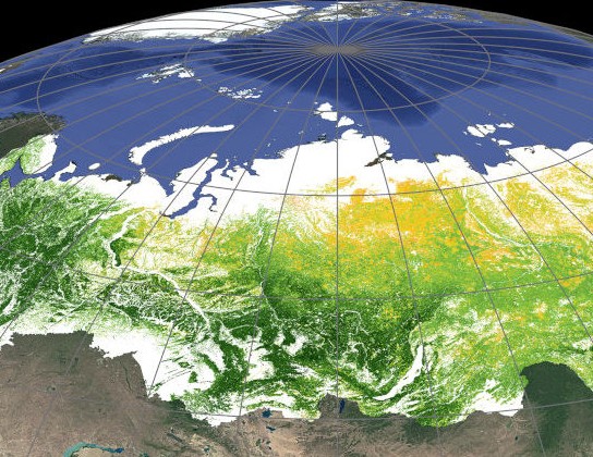 Правительство РФ готовит новый этап адаптации к изменению климата до 2030 года - «Экология России»