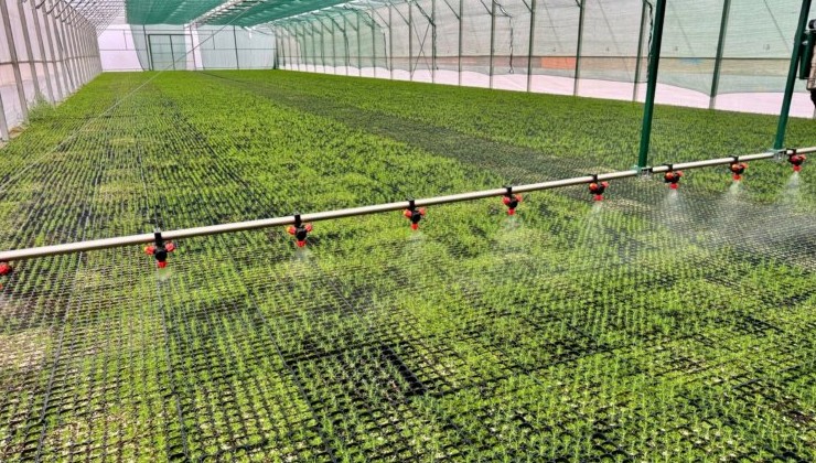 Рослесхоз усилит контроль за лесовосстановлением и цифровизацией отрасли - «Экология России»