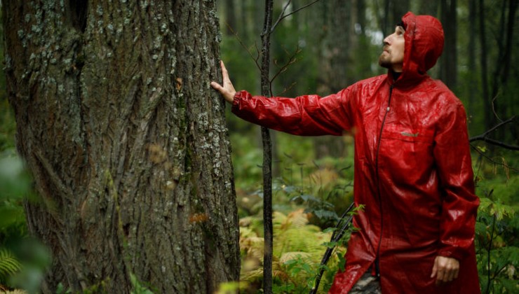 В Башкирии появится питомник липы на 5 тыс. саженцев - «Экология России»