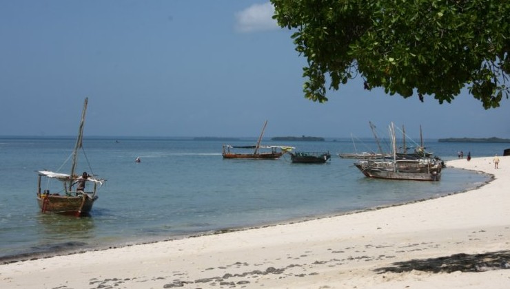 В ЮАР оспаривают экологическое разрешение для проекта TotalEnergies - «В мире»