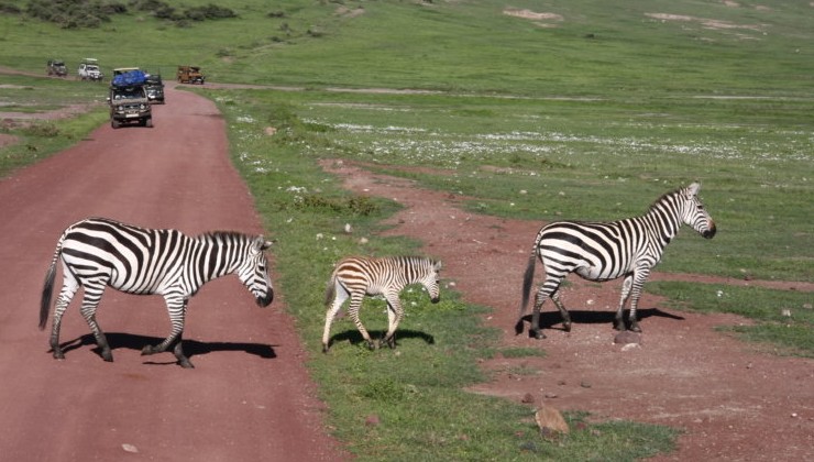 BP ответит за отходы 1980-х: суд Кении дал ход иску о загрязнении воды - «Экология России»