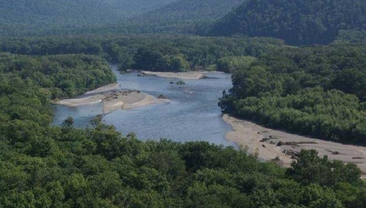 Доля недропользования в лесах Дальнего Востока не превышает 0,5% - «Экология России»
