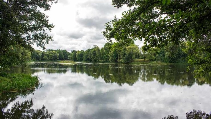 Генпрокуратура Белоруссии выявила системные нарушения в управлении ООПТ - «В мире»