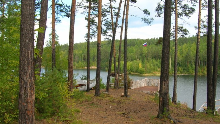 Иркутская область будет софинансировать лесоустройство: Рослесхоз масштабирует практику - «Экология России»