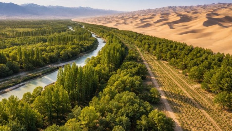 Китай формирует «зеленый пояс» вокруг пустыни Такла-Макан - «В мире»