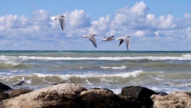 Страны Центральной Азии договорились об экологической солидарности - «В мире»