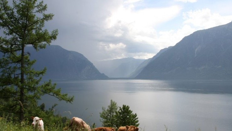 Телецкое озеро в фокусе: жители Алтая заявили о рисках для уникальной экосистемы - «Экология России»