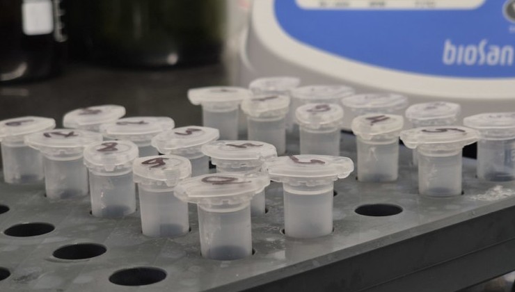 В Бурятии формируют генетическую базу лесов для мониторинга и защиты - «Экология России»