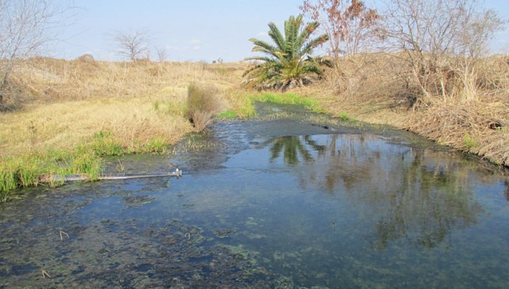 В США обнаружены токсичные металлы в сточных водах литиевого завода Tesla - «Экология России»