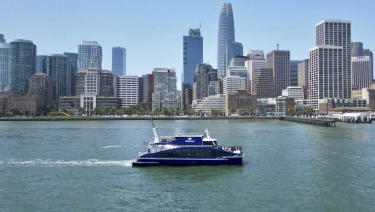 Залив Сан-Франциско превращается в ловушку для китов - «Экология России»