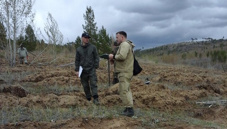 В Бурятии начали масштабную проверку качества лесовосстановления - «Экология России»